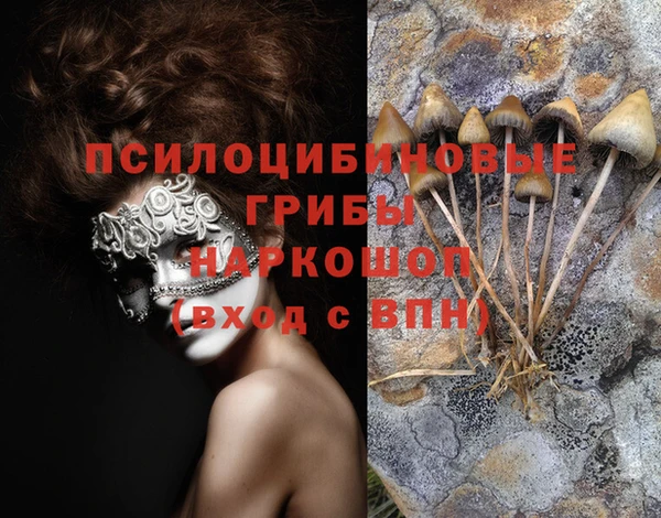 не бодяженный Аркадак