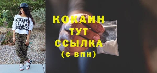 дмт Арсеньев