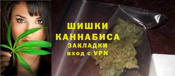 дмт Арсеньев