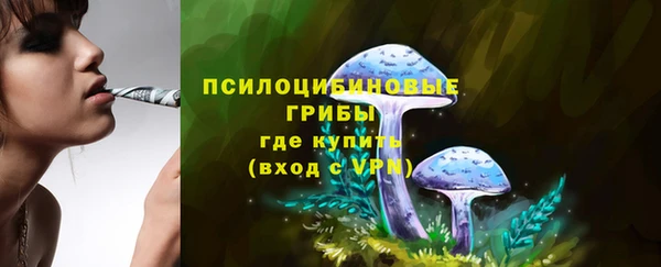 не бодяженный Аркадак
