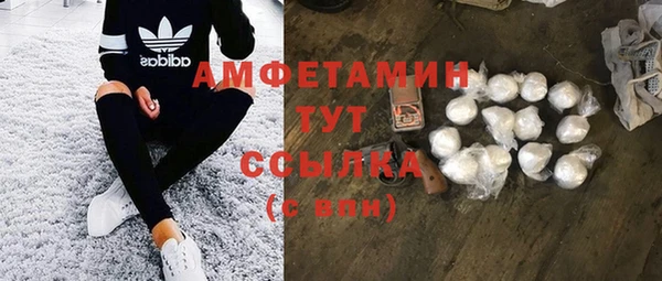 дмт Арсеньев