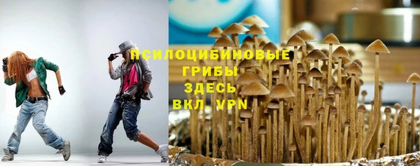 mdpv Армянск